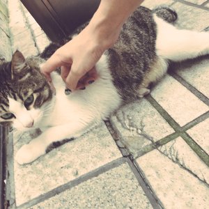 xxxx69xxxx18-20xxxxHD
